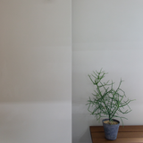 PORTER'S PAINTS 塗料